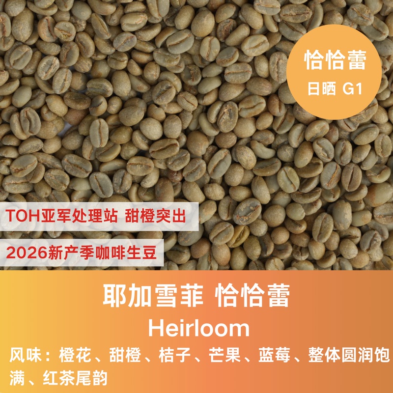 25Th Harvest Season Coffee Beans, Ethiopia, Yirgacheffe, Chacha Lei, Sun-Dried G1 Premium Coffee