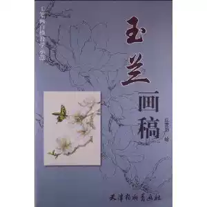 Magnolia drawing teaching demonstration