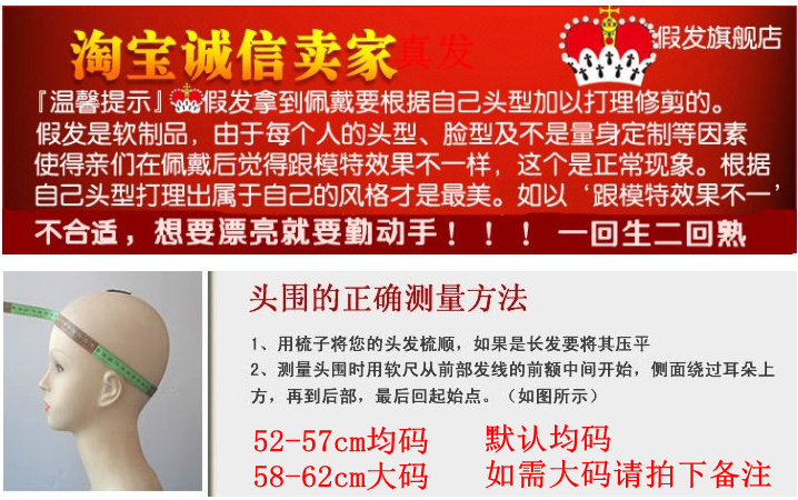 Perruque OTHER   cheveux raides Court - Ref 2610009 Image 17