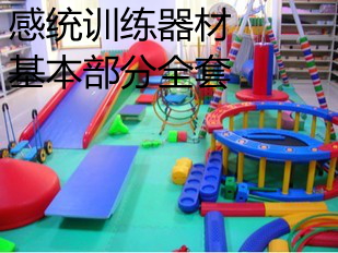 Manufacturer Direct Sales Special Price Sense System Training Equipment Complete basic part Sensory System Suit of Sensory Equipment Complete-Taobao