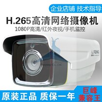 Giant Peak H 265 Network Camera IPC-EM28320PX-IR5 HD 2001080 P Remote Cloud Surveillance