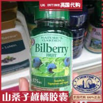 British Double Crown Shop Hollandbarrett Mountain Mulberry Capsules 100 capsules