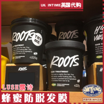 British Double Crown shop LUSH ROOTS Dew poetry honey hair mask 225g