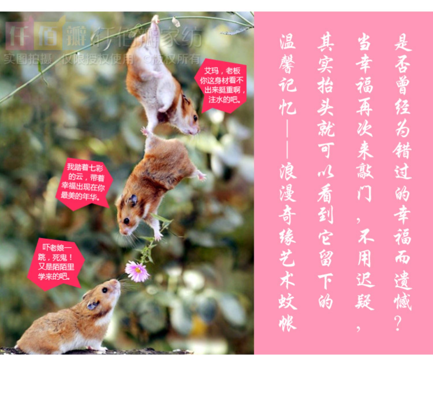 Đặc biệt mã hóa muỗi đại học phòng ngủ lưới giường đơn giường tầng trên cao và bụi thấp bụi gió cô gái lưới trái tim - Lưới chống muỗi mùng ngủ cao cấp
