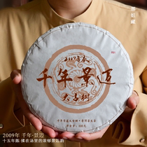 Jingmai Label pole 2009 Millennium Jingmai Grande souche darbre ancien matériau ancien matériau pur 15 ans medium old tea 400 gr large tarte