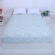 Cotton Ai Cập dài chủ yếu cotton satin 60 sợi 300 giường đơn cotton đôi size kích thước tùy chỉnh - Trang bị Covers