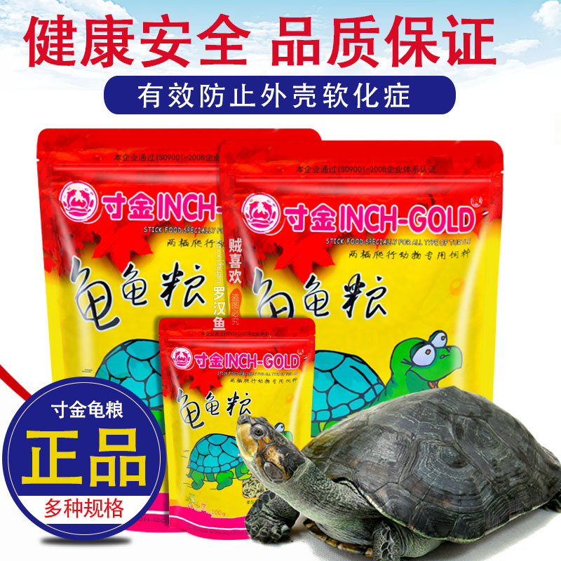 Inch gold tortoise Turtle Pig Nose Turtle Feed Avocado Gold Money Tortoise Turtle Water Tortoise Tortoise Tonic Calcium Tortoise Tortoise Turtle Food