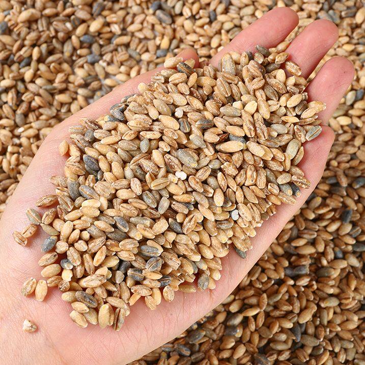 新田野粮心五谷杂粮