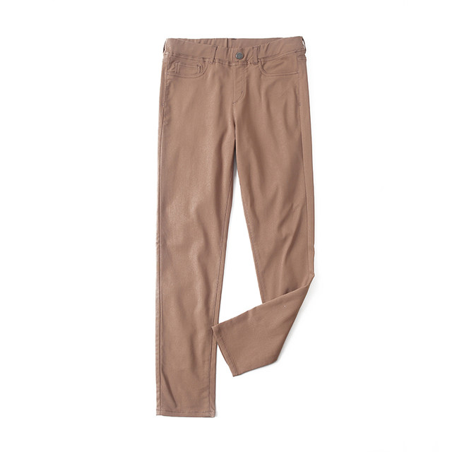 Elastic waist thin velvet outer leggings Spring and autumn elastic small feet pants Foreign trade small straight pants Women's pants X/16