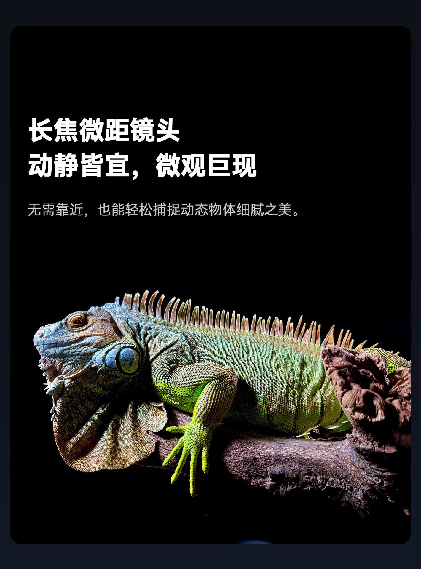 O1CN01LTw8Lt1OpNiHfy42w !!141291754