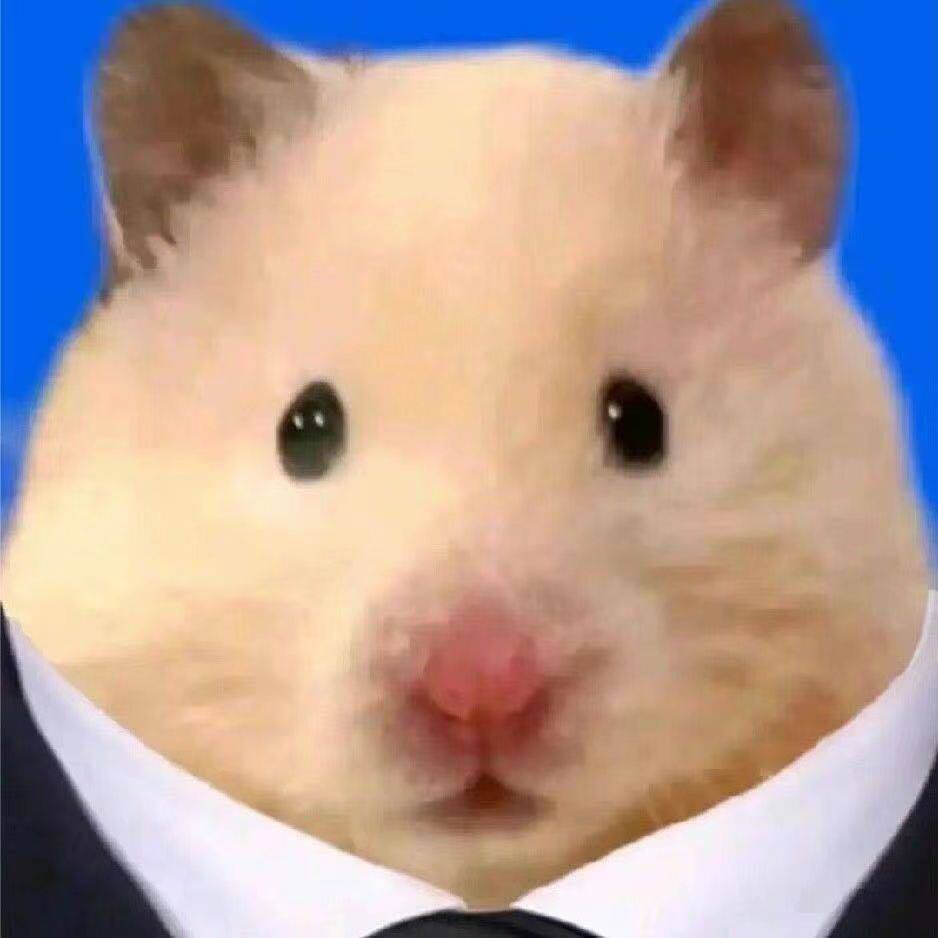 爱乐耳机工作室