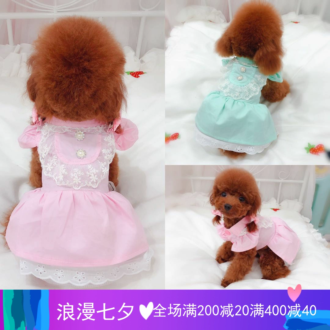 Mùa xuân và mùa hè mới đứng cổ áo ren búp bê váy Teddy gấu chó chó quần áo trang trí trái cây kho báu thế giới nhỏ - Quần áo & phụ kiện thú cưng