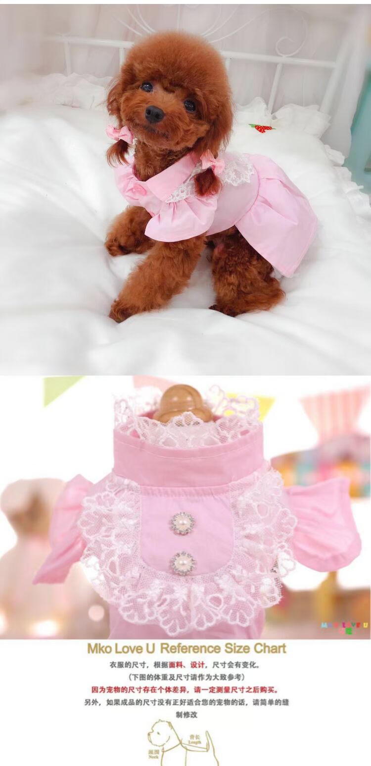 Mùa xuân và mùa hè mới đứng cổ áo ren búp bê váy Teddy gấu chó chó quần áo trang trí trái cây kho báu thế giới nhỏ - Quần áo & phụ kiện thú cưng bộ quần áo thú cưng