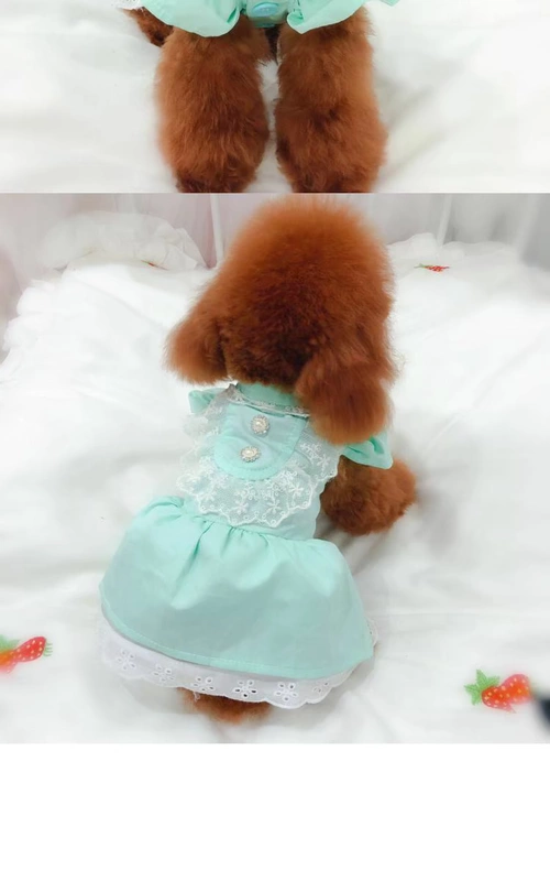 Mùa xuân và mùa hè mới đứng cổ áo ren búp bê váy Teddy gấu chó chó quần áo trang trí trái cây kho báu thế giới nhỏ - Quần áo & phụ kiện thú cưng