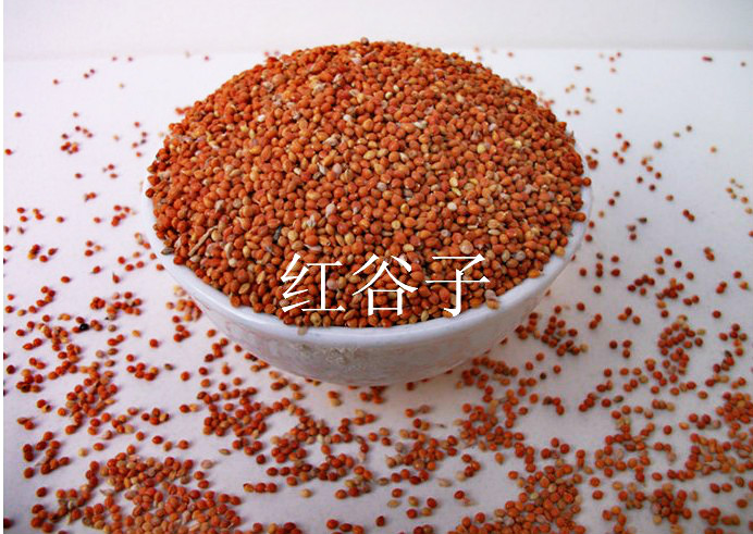 5kg of high-quality shelled millet millet pet bird food fresh bird food red millet bird food parrot bird food
