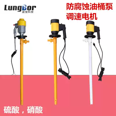 Anti-corrosion oil barrel pump speed control motor viscous liquid solvent strong acid and alkali barrel pump Variable speed chemical pump