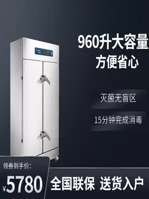 Disinfection cabinet commercial vertical double door high temperature steam drying cleaning cabinet Dining Room restaurant restaurant large towel disinfection bowl cabinet