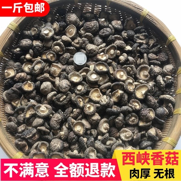 Summer promotion new goods super small mushroom dry goods 500g farmhouse special small dry mushroom commercial bulk