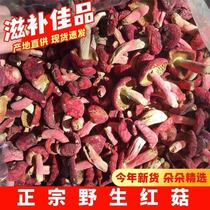 New goods deep mountain picking red vertebrates non-smoked small red mushroom Fujian Guangxi Yuezi mushroom red mushroom 500g