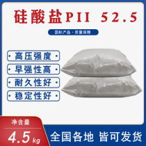 Silicate PII52 5R early strength cement experiment special mortar UHPC high strength concrete handicraft emergency repair