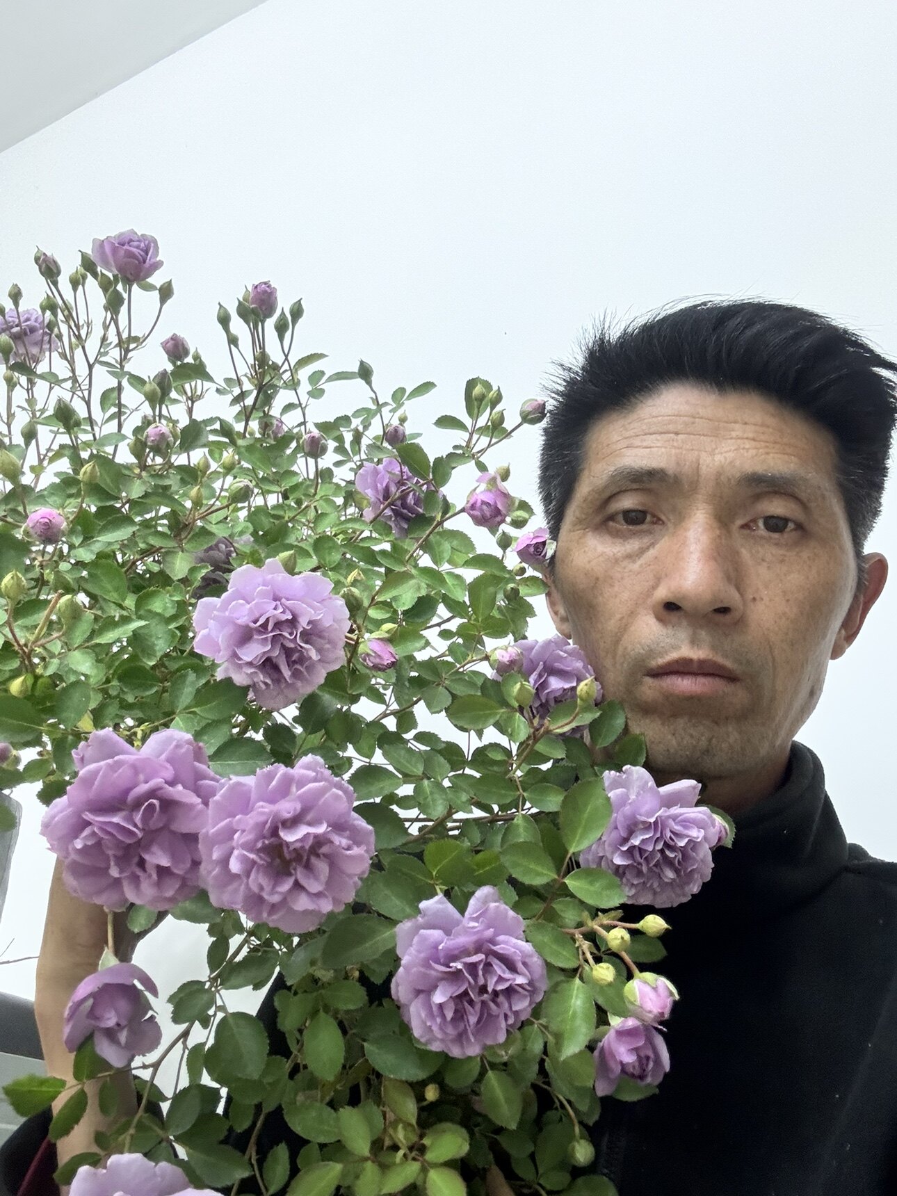 花乡园林