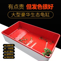 Tortoise Crock Turtle Box Turtle Pond Turtle Fry Turtle Pond Turtle Lovers World Ecological Vat Gold Money Tortoise White Turtle Hair Color Pond