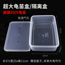 Turtle seedling isolation box turtle hair color box turtle box fish tank hatching box tropical fish breeding box multi-functional isolation box