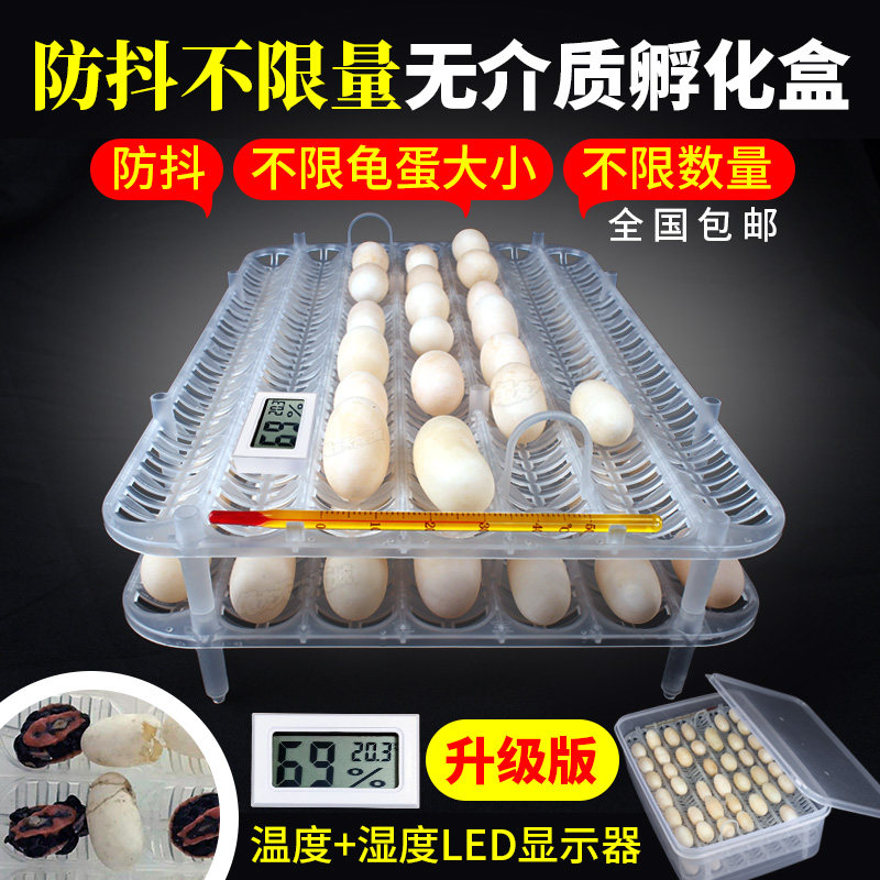Turtle egg hatch box without medium stone money turtle water land turtle lizard snake gecko climbing pet egg anti-shake incubator
