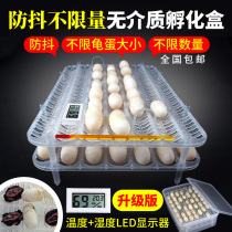 Turtle Egg Hatching Box Without Medium Stone Gold Money Tortoise Lizard Lizard Lizard Snake Patron of the Palace Climbing Egg Fumbling Incubators