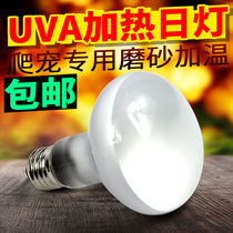 Tortoise Lovers World UVA Heating Day Light Land Turtle Case Turtle Insulation Light Reptile Lizard Keeper of the Palace Heating Lights