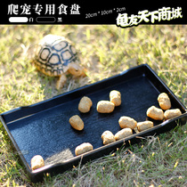 Tortoise food plate drinking plate food plate climbing pet lizard black white water basin imitation wood grain small medium size
