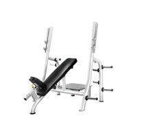 Wan Young Advanced Commercial Weightlifting Bed A79 Door-to-door Installation Construction Enterprise Unit Villa Gym Gym Gym