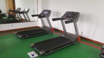 Evergreen luxury commercial electric treadmill F1-7000EA enterprises and institutions troops villa gym