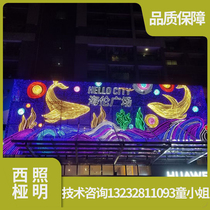 Glass Curtain Wall Lighting Painting Sky Curtain Lighting Painting Shopping Mall Exterior Wall Large Wall Neon LED Glass Lighting Painting