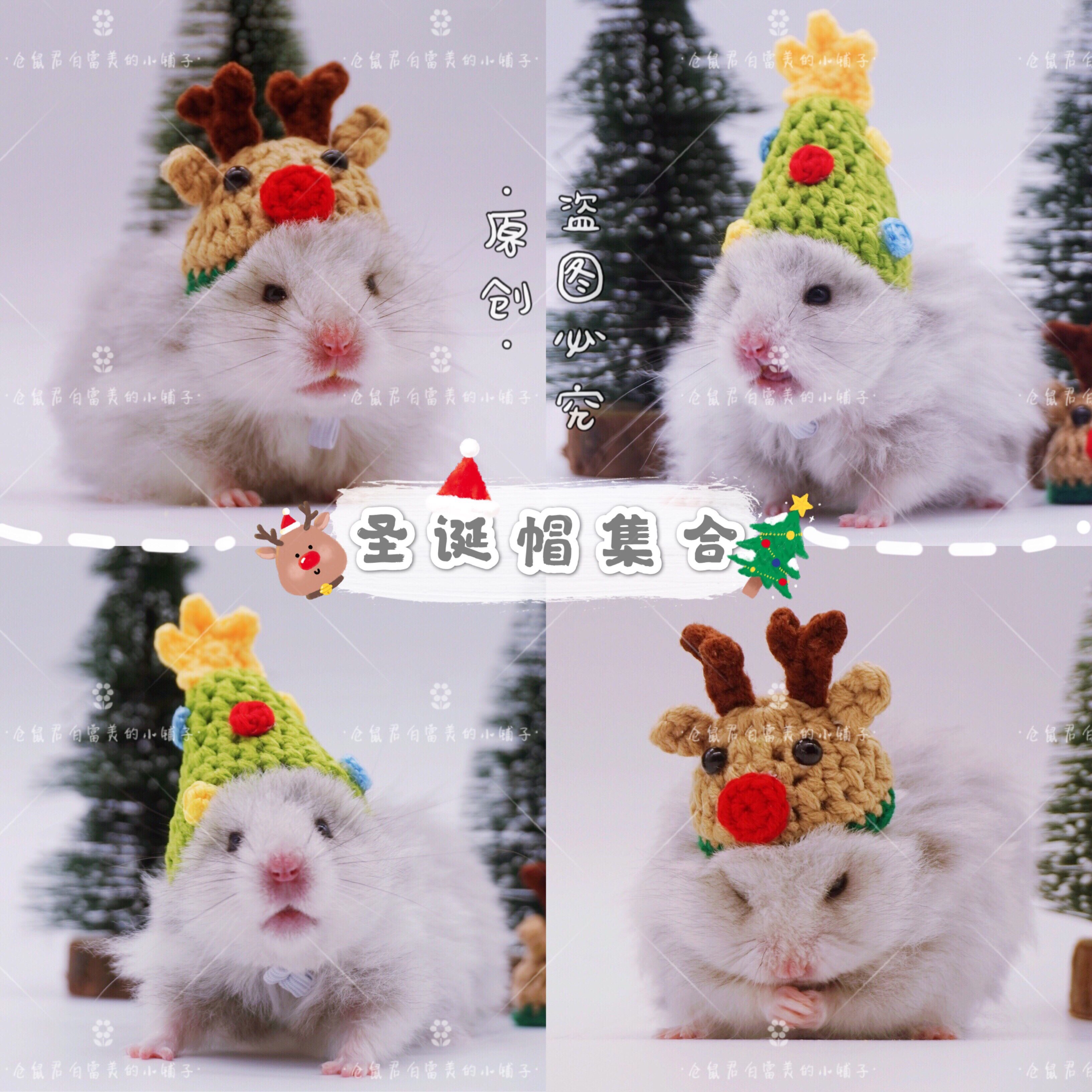 (Bai Fumei Xiaopo) Christmas Hat Pet Hat Hamster Hat Golden Bear Tongxin Chinchin Guinea Pig Cat Photo