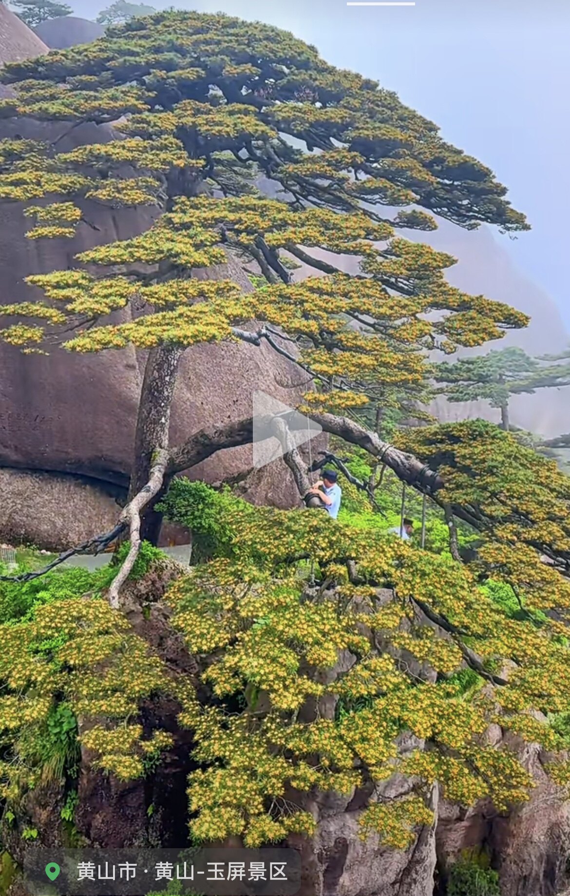 浔美