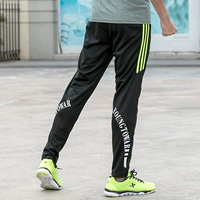 9064 Черный зеленый