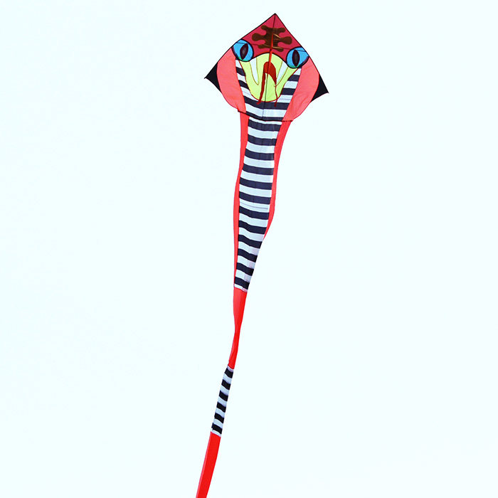 Good Flying Stock Clear Cabin Special Price Large Spectacular 40 m Glasses Snake King Kite Weifang Line With Old Shop Free Mail