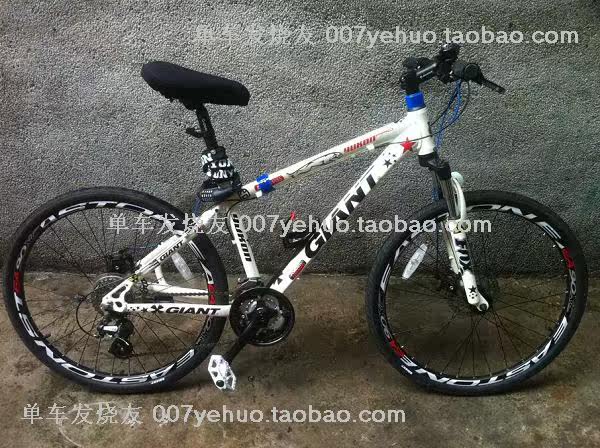 Autocollant pour vélo - Ref 2281918 Image 24