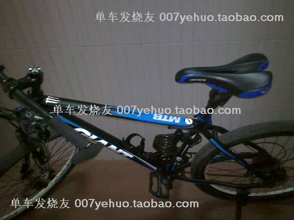 Décoration pour vélo - Ref 2279199 Image 11