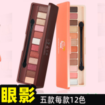 Powder fine Matte Pearlescent earth color eyeshadow disc durable waterproof non-dizzy 12-color eyeshadow nude makeup for beginners