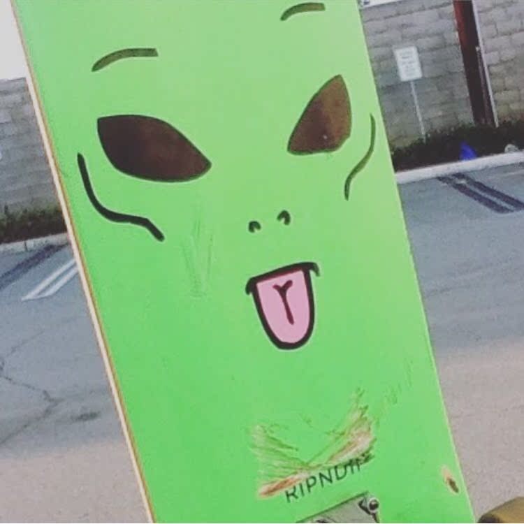 Skateboard pour homme femme RIPNDIP - Ref 2592789 Image 15