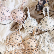 Han Wind Tian Yuan Garden Broken Flowers Little Qing Xinhua Fu Cotton Quality No Steel Ring Girl Bra Suit on Tothin Underwear Milk Hood