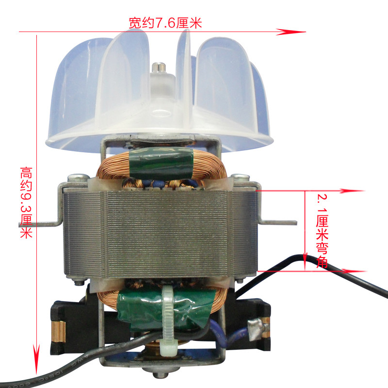 AC Copper Copper General Hairway Professional high - power wind dryer hair dryer 21 bend motor