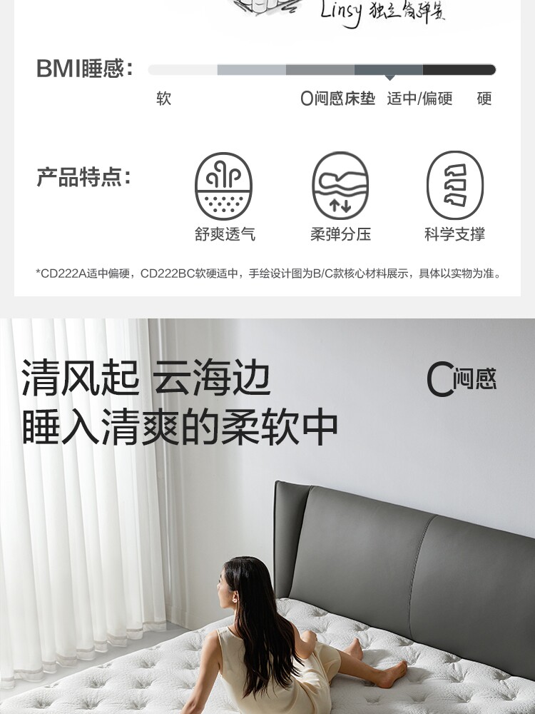 CD222A Комбинация-подробнее 750-матрас CD222B CD222C_04.jpg