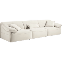 Lins Home Modern Simple Electric Fabric Sofa Living Room Cat Scratch Cloth Straight Furniture Lins Wood Industry BS880