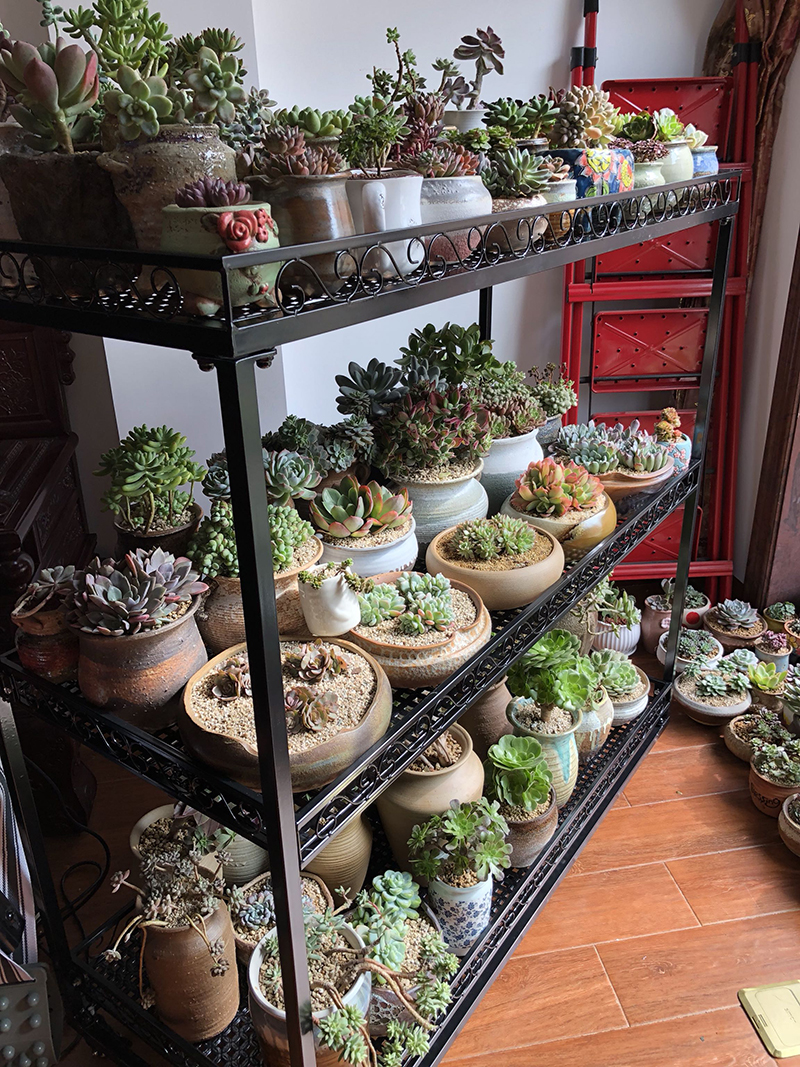 Ban công phòng khách hành lang sân trong nhà có thể tháo rời hoa đứng giàn giáo chống nắng mưa chống đông chống côn trùng vành đai ròng rọc - Kệ kệ sách đứng đẹp