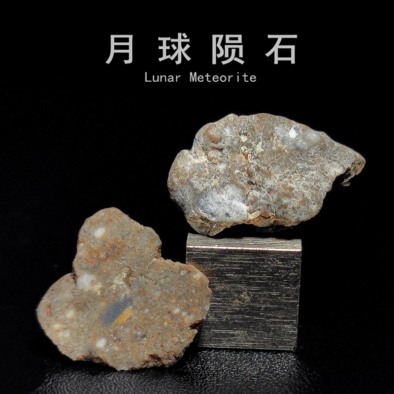 Lunar Meteorite Feldspar Breccia Sahara Desert Natural Specimen Internationally Named Laayoune 002 Lunar Soil Lunar Meteorite Feldspar Breccia Sahara Desert Natural Specimen Internationally Named Laayoune 002 Lunar Soil