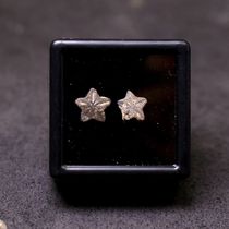 Moroccan star Sea Lily stem ammonites fossil trilobite fossil marine life fossil science specimen gift