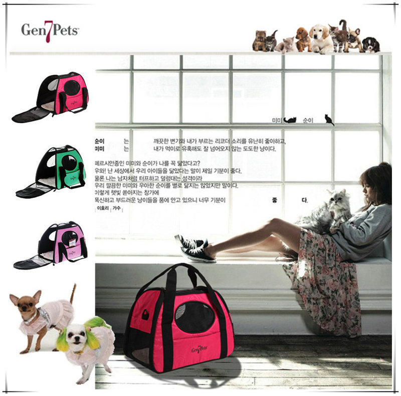 There is a musty smell, a single pet, a small dog, a dog, a cat, a teddy, a breathable outdoor portable foldable backpack, a cat litter